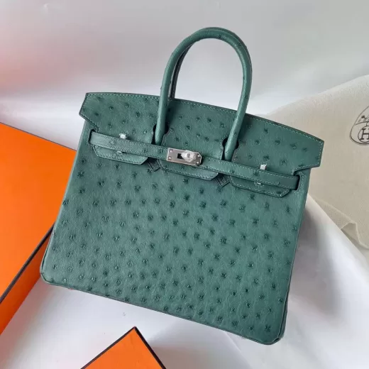 Hermes Kelly 25cm shiny alligator Ck81 Gris T & Ck88 Graphite grey Gold  Hardware Full Handmade in 2023